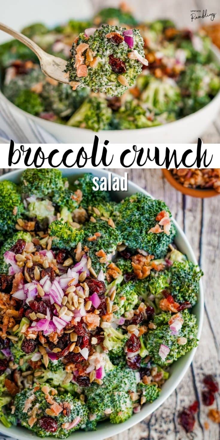 Classic Broccoli Crunch Salad - Upstate Ramblings