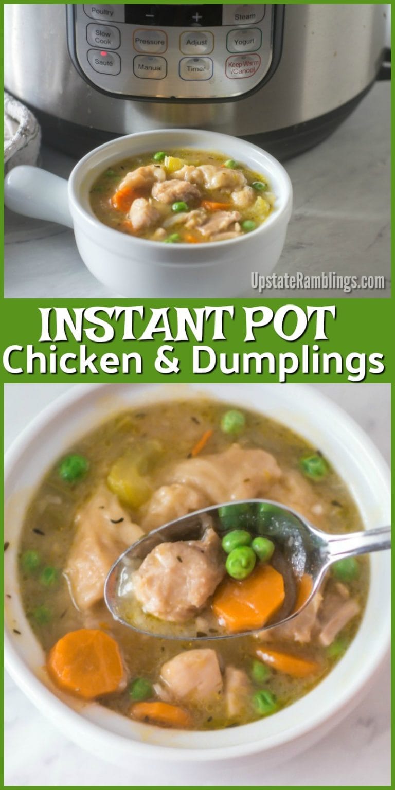Instant Pot Chicken and Dumplings - Upstate Ramblings