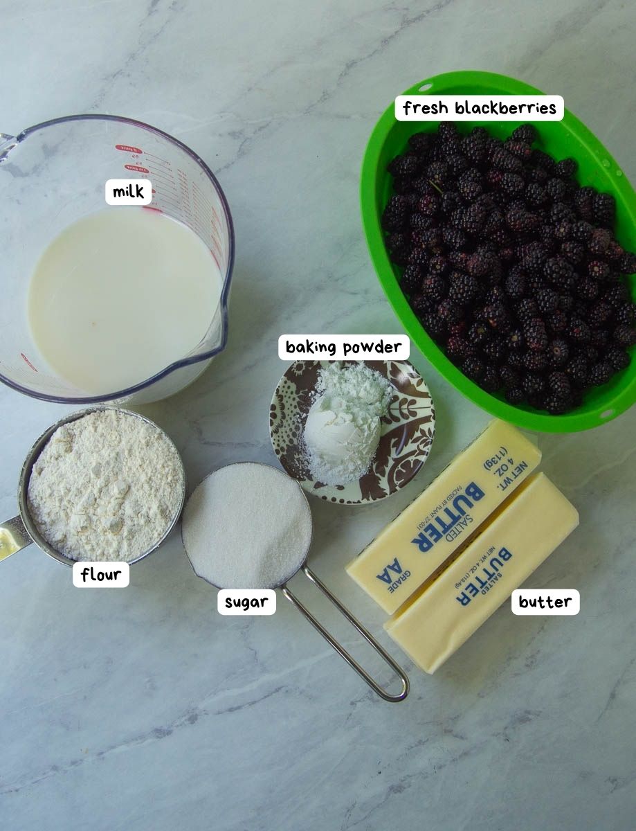 Ingredients laid out on a countertop: a measuring cup of milk, a bowl of fresh blackberries, a cup of flour, a bowl of baking powder, a scoop of sugar, and two sticks of butter.