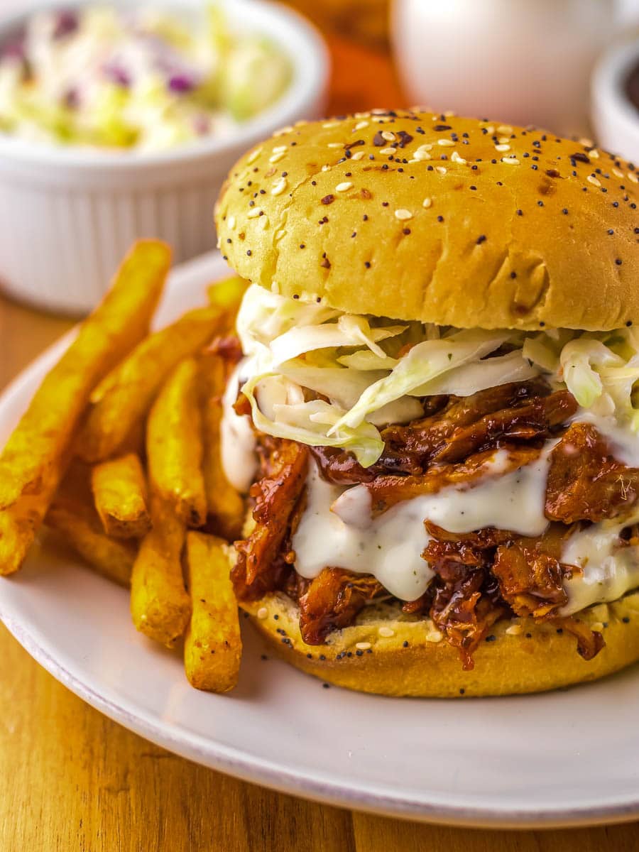 A pulled pork sandwich with coleslaw in a seeded bun is served on a white plate with a side of fries.